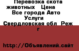 Перевозка скота животных › Цена ­ 39 - Все города Авто » Услуги   . Свердловская обл.,Реж г.